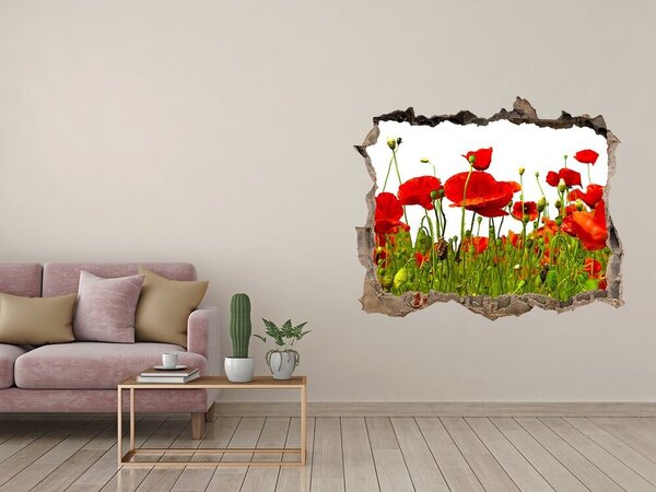 Fototapet 3D gaură în perete Un paradis floral printre maci