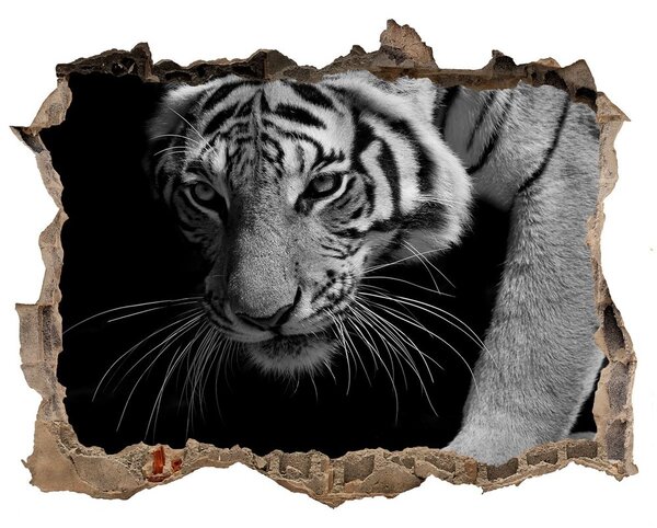 Dziura 3d foto tapeta naklejka Tigru într-o gaură în perete