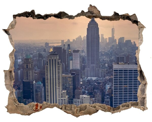 Fototapeta dziura na ścianę 3d Manhattan new york city