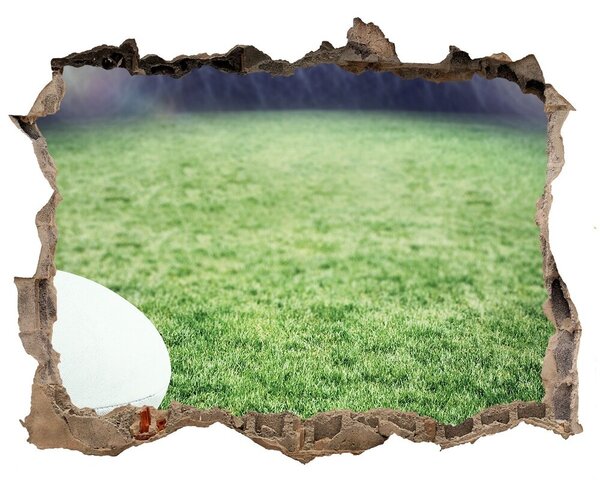 Autocolant 3D gaura cu priveliște Minge de rugby