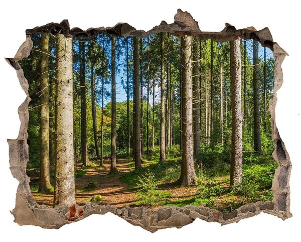 Autocolant de perete gaură 3D O cărare de pădure în desișul copacilor