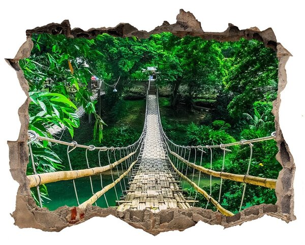 Fototapet 3D gaură în perete Cele mai multe rainforest