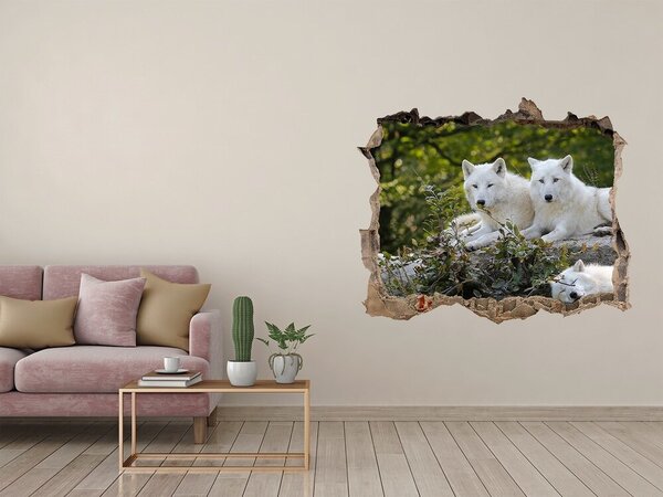 Fototapet 3D gaură în perete Lupii arctici într-un habitat natural