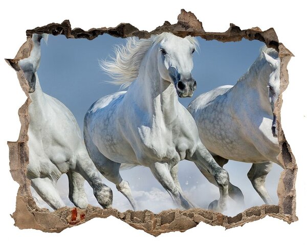 Autocolant gaură 3D White beach horse