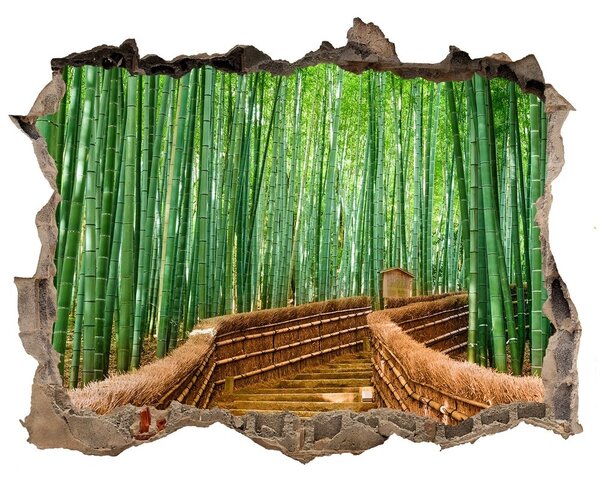 Fototapet un zid spart cu priveliște Pădure de bambus