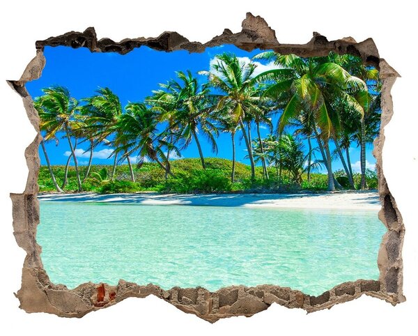 Autocolant de perete gaură 3D Plaja tropicala