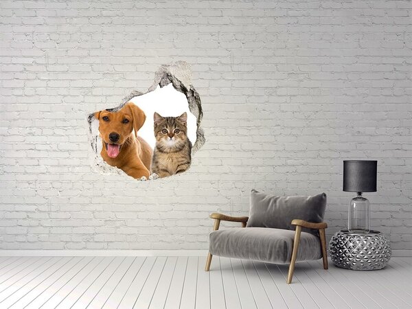 Autocolant de perete gaură 3D Prieteni pentru totdeauna