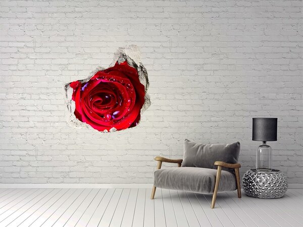 Autocolant 3D gaura cu priveliște Iluzie florală în beton