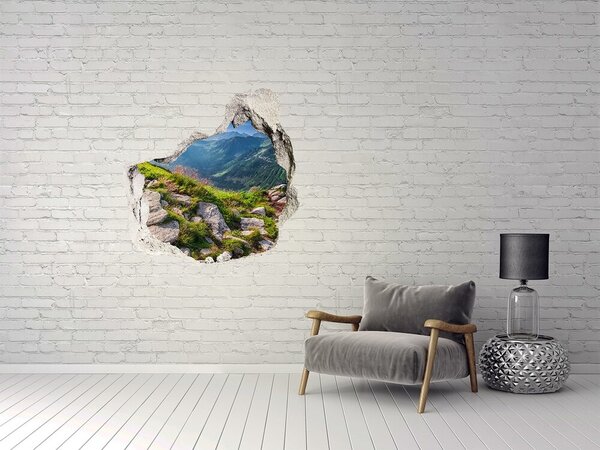 Fototapet 3D gaură în perete Vedere la munte cu vale
