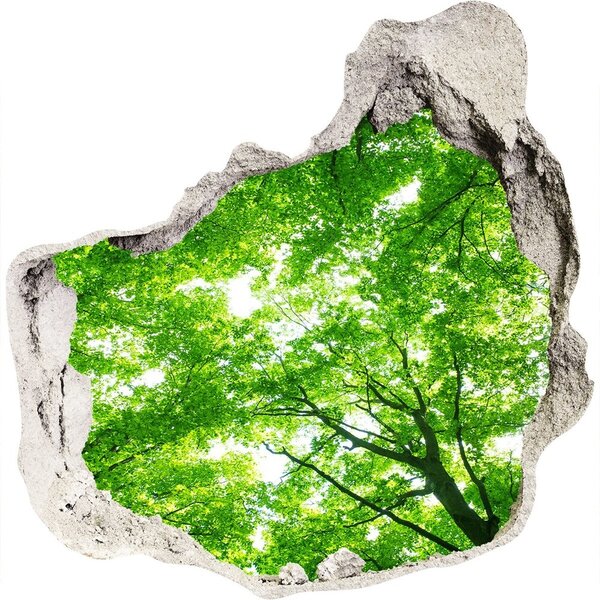 Autocolant autoadeziv gaură Pădurea verde într-o gaură în perete