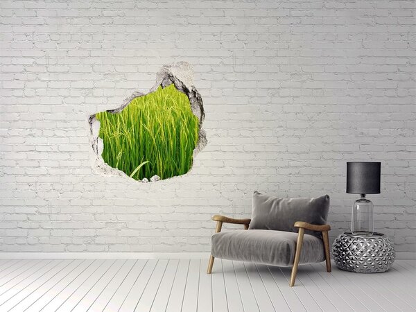 Autocolant gaură 3D Câmpuri de orez verzi