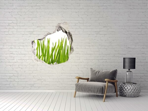 Fototapet 3D gaură în perete Pajiște verde prin zid