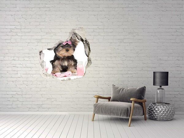 Fototapet un zid spart cu priveliște Un Yorkshire Terrier dulce cu o fundă roz