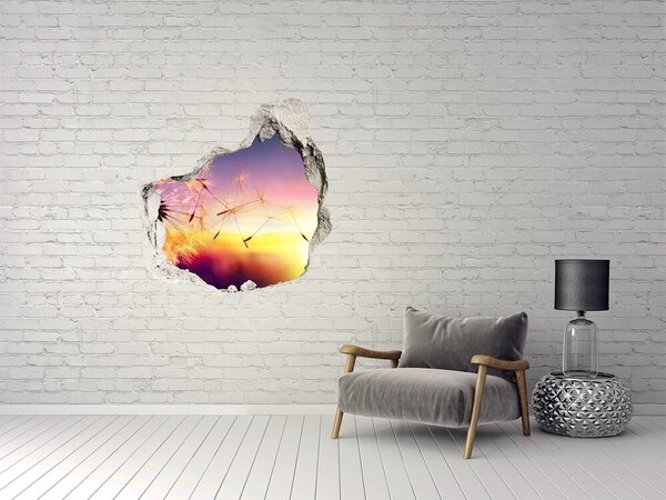 Fototapet 3D gaură în perete Vise cu flori la apus