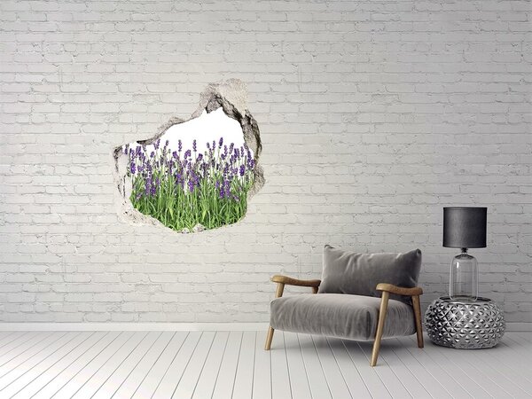 Autocolant 3D gaura cu priveliște Oază florală de lavandă