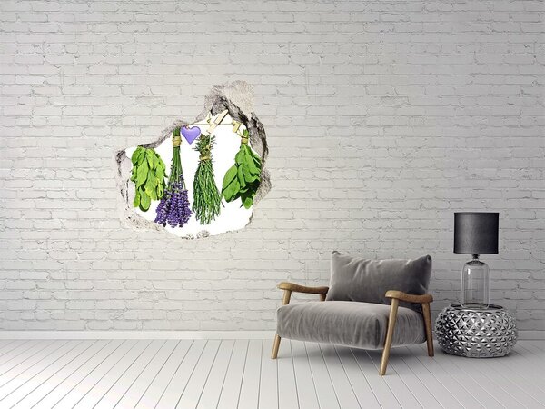 Autocolant 3D gaura cu priveliște Grădina de plante aromatice „Gauă în perete”