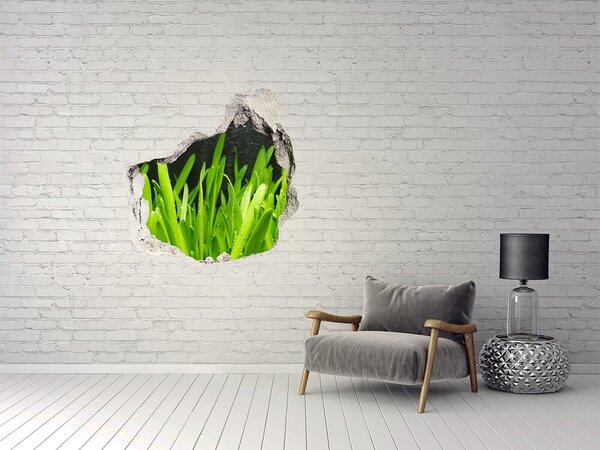 Autocolant gaură 3D Paradis verde în spatele zidului