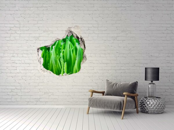 Fototapet un zid spart cu priveliște Pajiște verde cu picături de apă