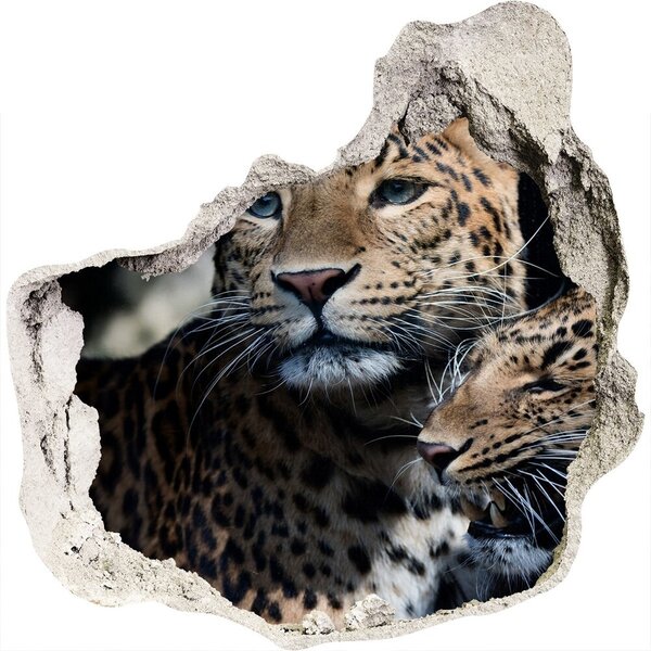 Fototapet 3D gaură în perete doi leoparzi