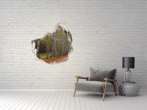 Fototapet 3D gaură în perete Aleea pădurii printre mesteceni