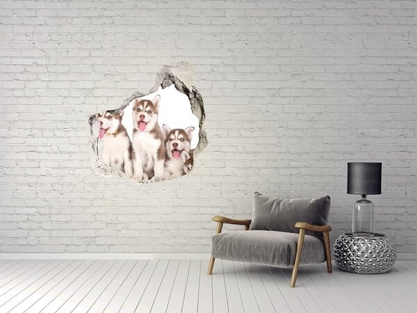 Autocolant gaură 3D Căței husky în spatele unei găuri în perete