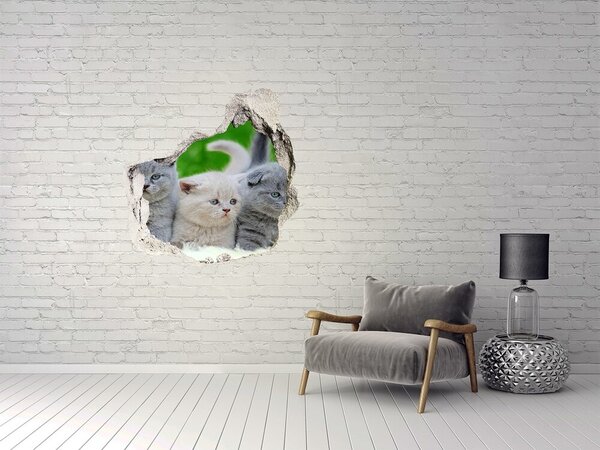 Autocolant gaură 3D Pisicuțe într-o gaură în perete
