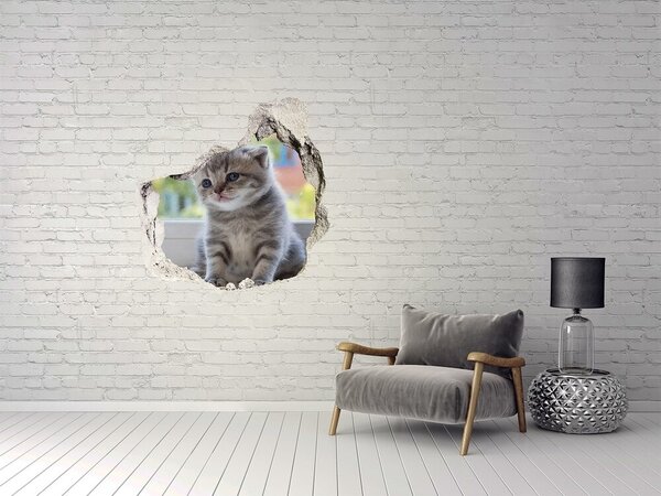 Autocolant 3D gaura cu priveliște Pisicuță într-o gaură în perete