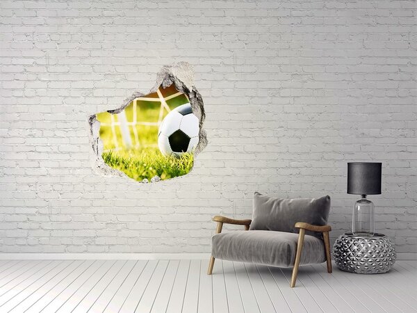 Fototapet 3D gaură în perete Gol pe teren