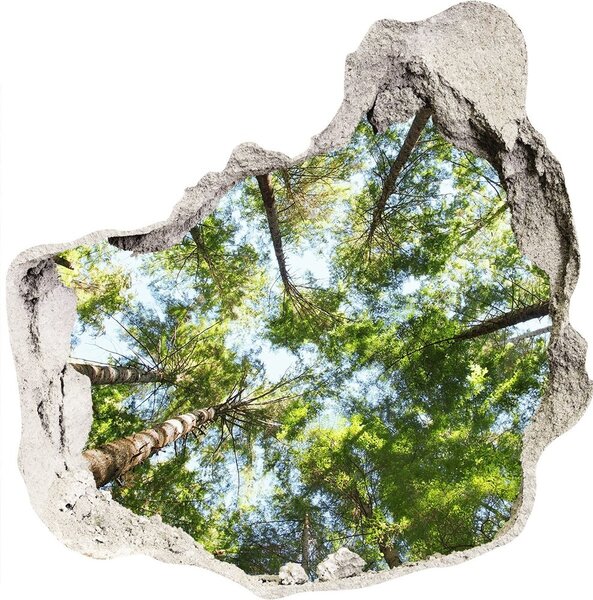 Autocolant 3D gaura cu priveliște ramuri superioare ale unui copac
