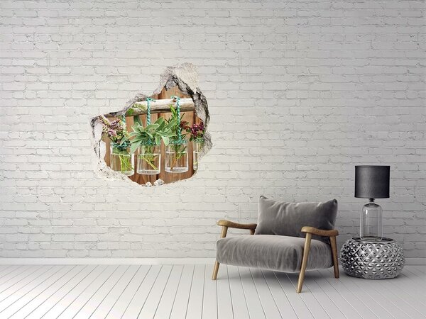 Fototapet 3D gaură în perete Grădină de plante aromatice în borcane