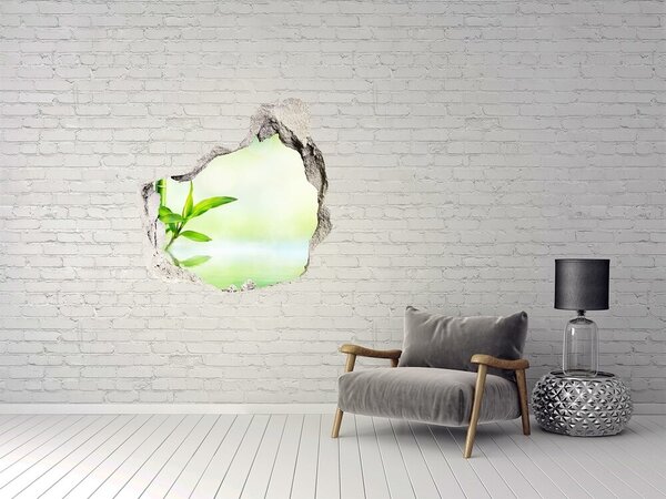 Autocolant de perete gaură 3D Paradis verde cu bambus