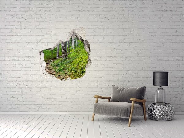 Autocolant 3D gaura cu priveliște Gaură în perete Calea pădurii