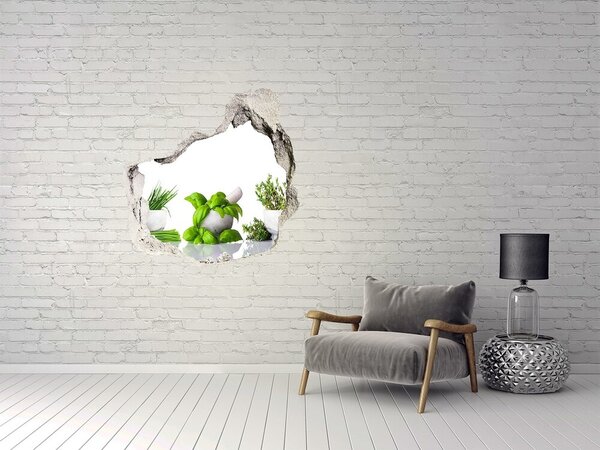 Fototapet 3D gaură în perete Grădină verde cu ierburi aromatice