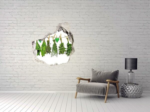Fototapet un zid spart cu priveliște Grădina de plante aromatice „Gauă în perete”