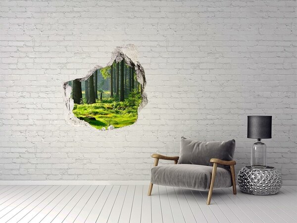Fototapet 3D gaură în perete Pădurea verde în razele soarelui