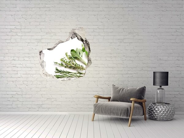 Autocolant un zid spart cu priveliște Grădină de plante aromatice din beton