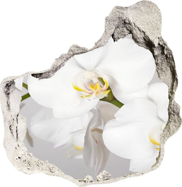 Autocolant 3D gaura cu priveliște Orhidee