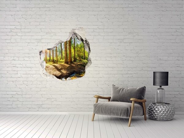 Autocolant gaură 3D O oază de liniște în pădure