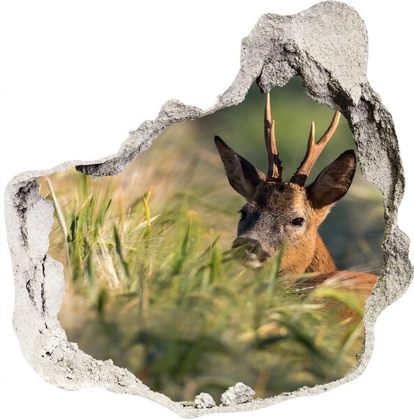 Fototapet un zid spart cu priveliște Deer în domeniu