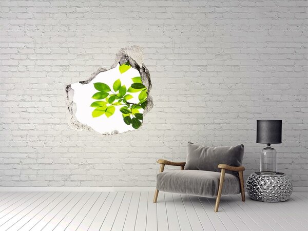 Autocolant gaură 3D O oază verde în spatele zidului