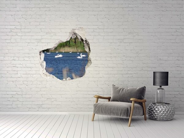 Autocolant de perete gaură 3D Lac cu lebede