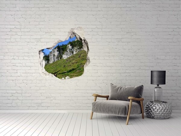 Autocolant gaură 3D Peisaj montan printr-o gaură în perete