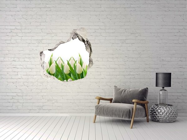 Fototapet 3D gaură în perete Un colț de flori în perete