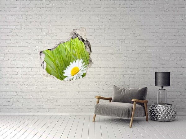 Autocolant de perete gaură 3D O floare într-o grădină verde