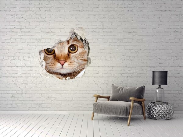 Fototapet 3D gaură în perete Pisica din spatele găurii din perete