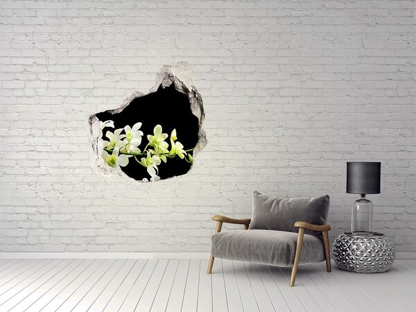 Fototapet 3D gaură în perete Un vis floral în spatele peretelui