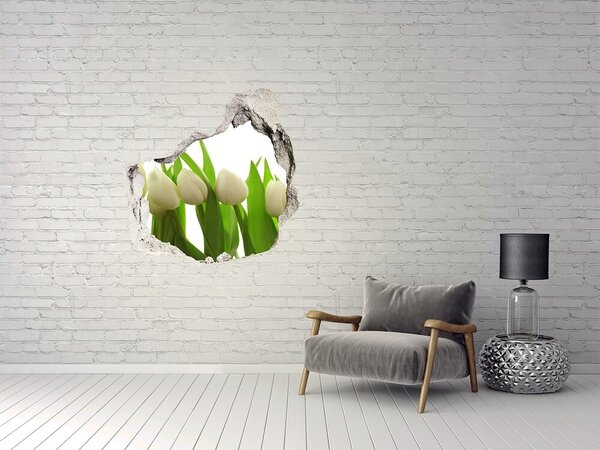 Fototapet 3D gaură în perete Flori în beton