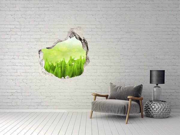 Fototapet un zid spart cu priveliște Pajiște verde cu picături de apă