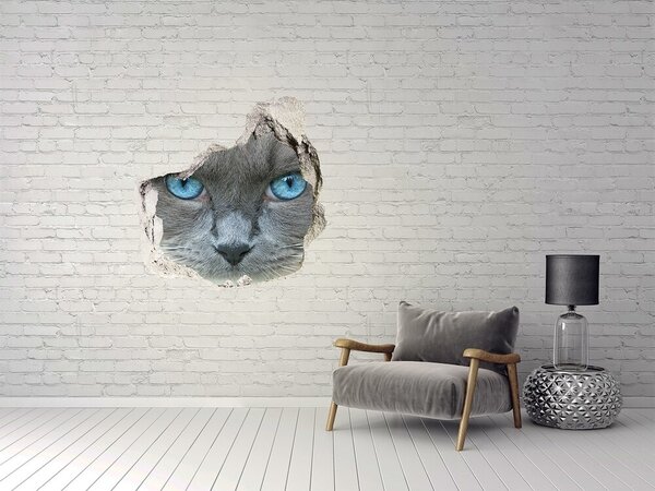 Fototapet 3D gaură în perete Pisică într-o gaură în perete