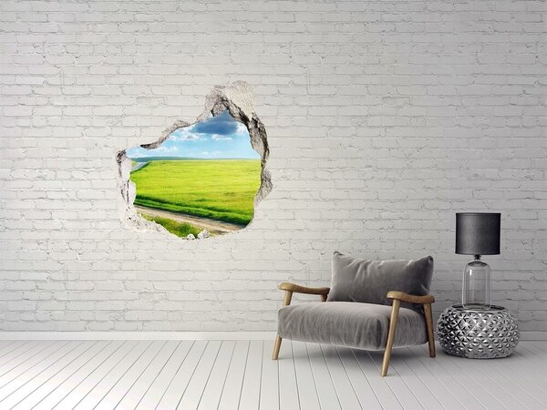 Fototapet 3D gaură în perete Pajiște verde cu cer